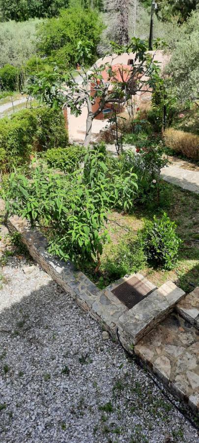 Maison Provence Avec Piscine Privative Nyons